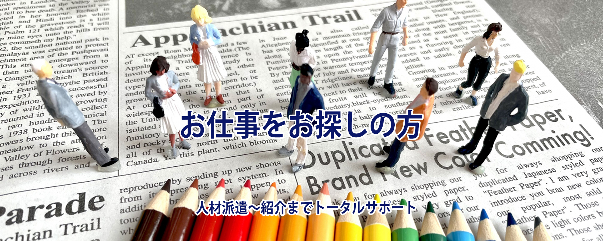 お仕事をお探しの方